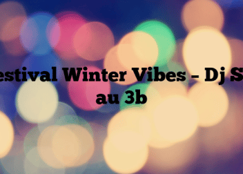 Festival Winter Vibes – Dj Set au 3b